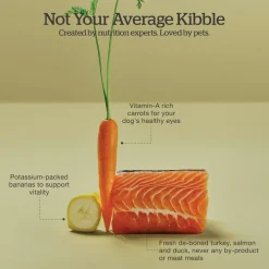 Grain-Free Turkey, Salmon & Duck Recipe Small Breed Puppy Dog Food