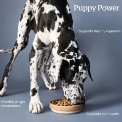 Grain-Free Turkey, Salmon & Duck Recipe Large Breed Puppy Dog Food