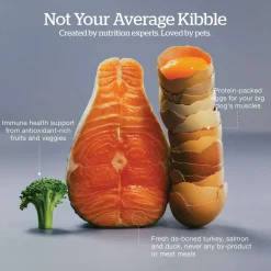 Grain-Free Turkey, Salmon & Duck Recipe Large Breed Puppy Dog Food