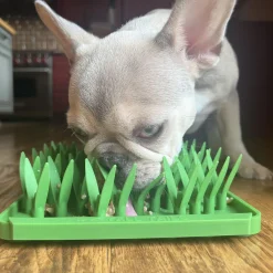 Grassy Meadow Foraging Mat