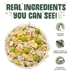 Green Eggs & Chicken with Chicken, Pumpkin, Greens & Egg Dog Food