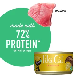 Grill Ahi Tuna Recipe Cat Food