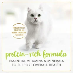 Grilled Salmon Feast Adult Cat Food