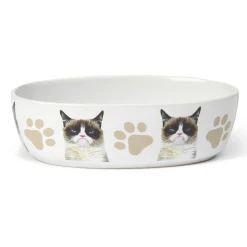 Grumpy Cat inYou Call That Food?in Bowl White