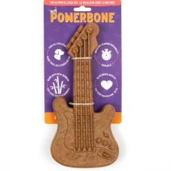 Guitar Tough Chew Dog Toy