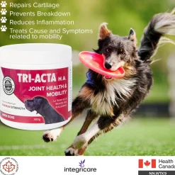 H.A. Maximum Strength Joint Health & Mobility Supplement