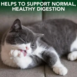 Hairball Relief Digestive Aid Cat Supplement