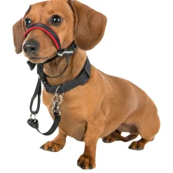 Halti Optifit Headcollar