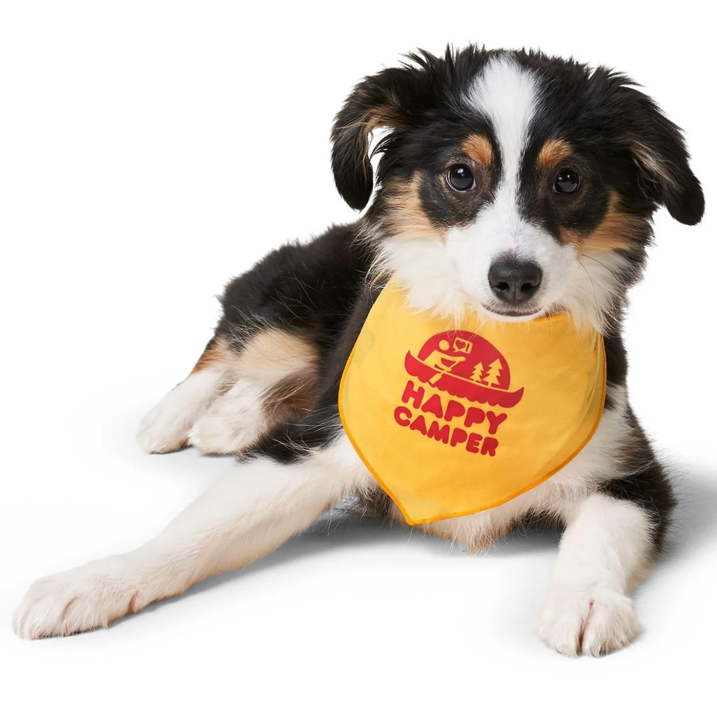 Happy Camper Dog Bandana