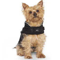 Harness Black Puffer Jacket