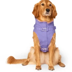 Harness Lavender Raincoat