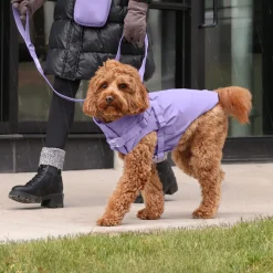 Harness Lavender Raincoat
