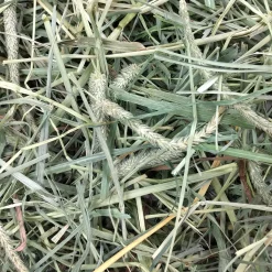 Hay Blends Western Timothy & Orchard Grass