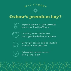 Hay Blends Western Timothy & Orchard Grass