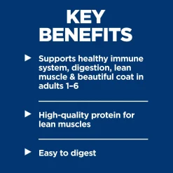 Healthy Cuisine Chicken & Vegetables Stew Adult Dog Food