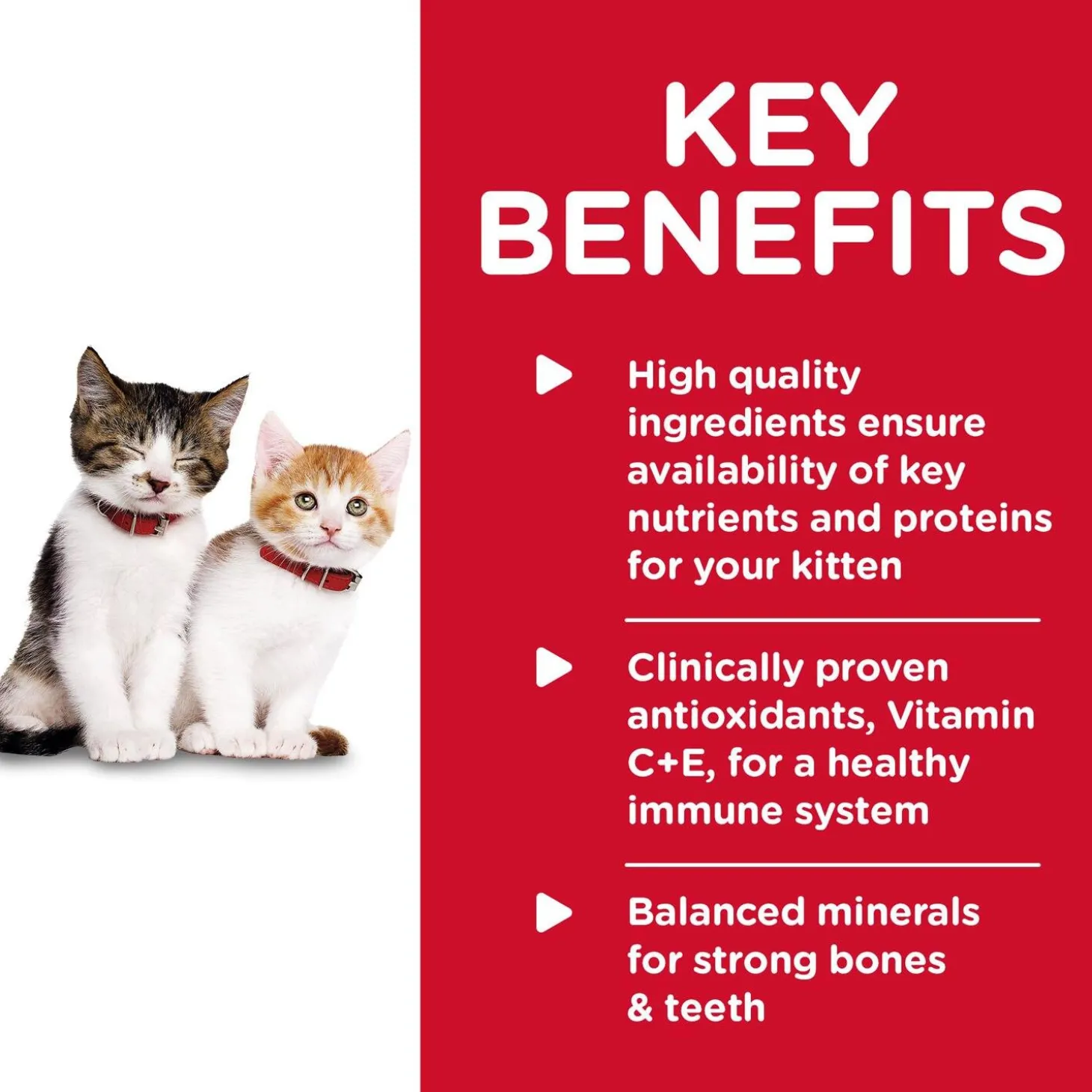 Healthy Cuisine Roasted Chicken & Rice Medley Kitten Cat Food