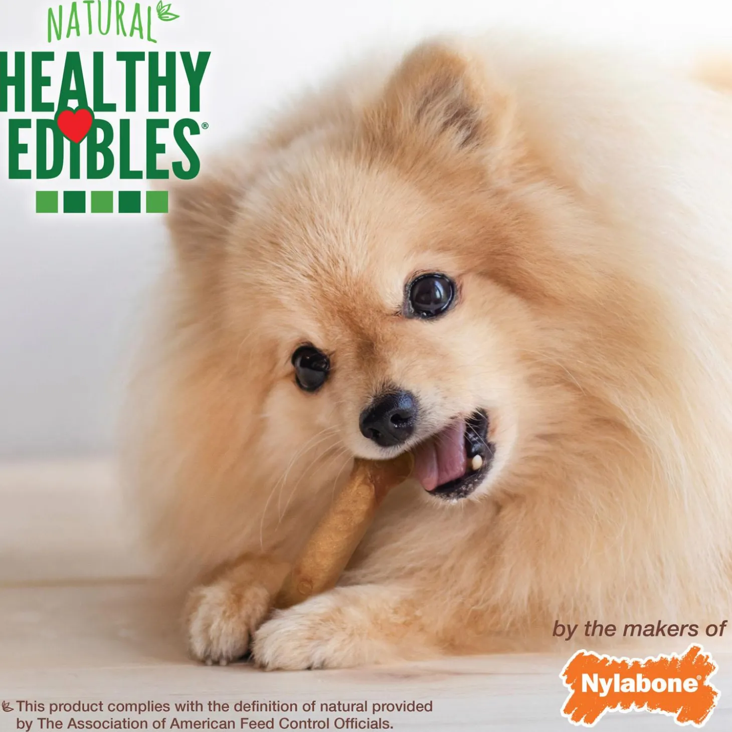 Healthy Edibles Roast Beef Flavour Petite Dog Treats