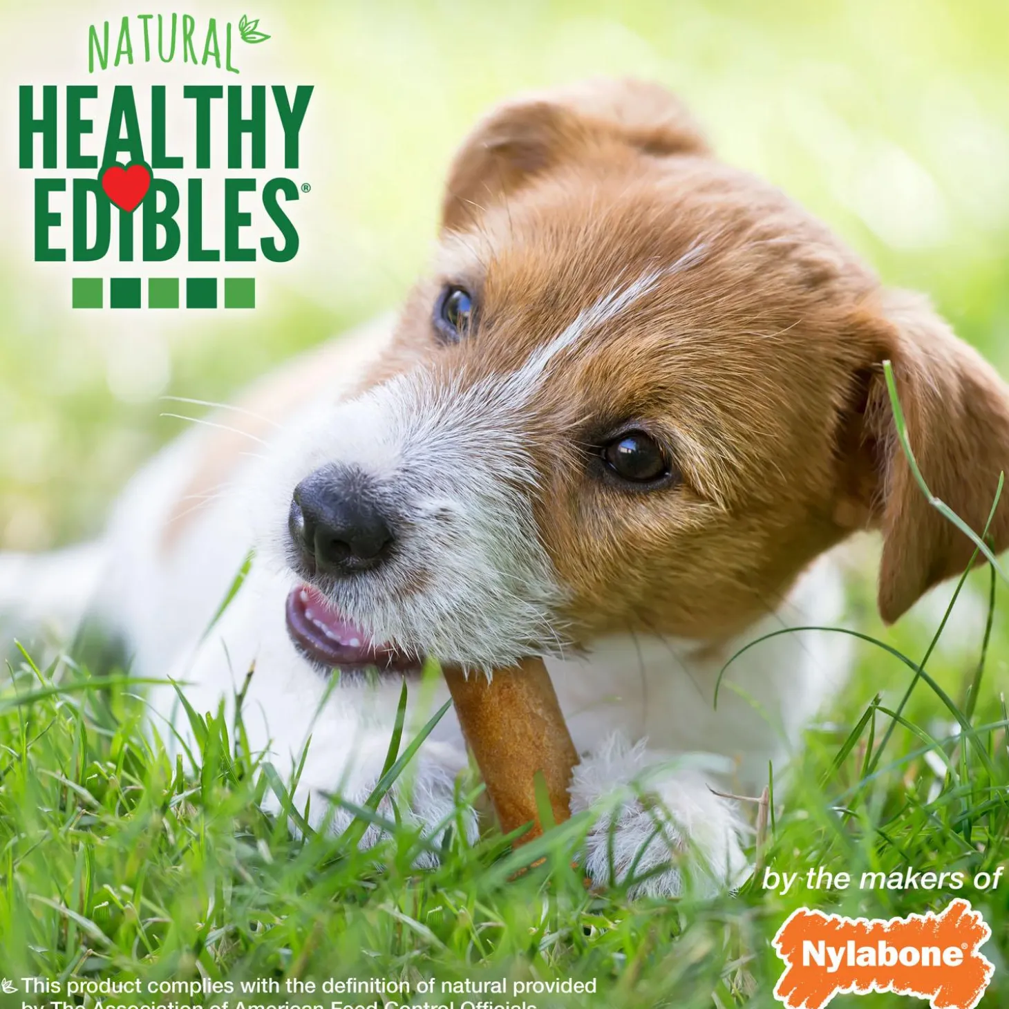 Healthy Edibles Variety Pack Regular Dog Treats