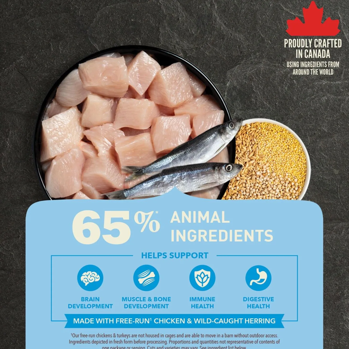 Healthy Grains Recipe Puppy Dog Food