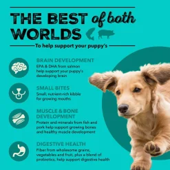 Healthy Grains Sea & Farm Recipe Puppy Dog Food