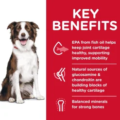 Healthy Mobility Chicken Meal, Brown Rice & Barley Recipe Large Breed Adult Dog Food