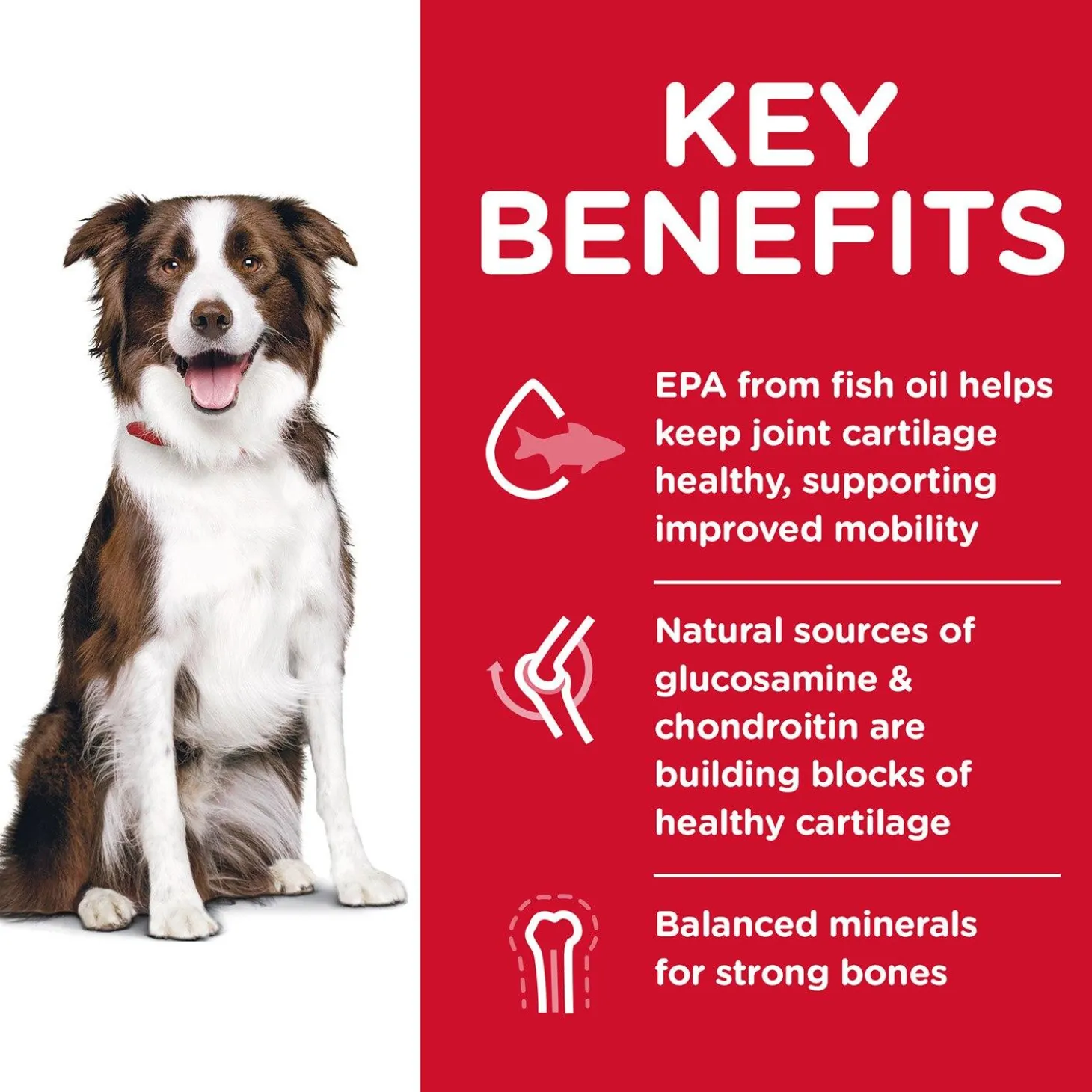 Healthy Mobility Chicken Meal, Brown Rice & Barley Recipe Large Breed Adult Dog Food