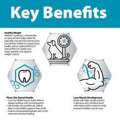 Healthy Weight Chicken & Rice Formula Large Breed Adult Dog Food