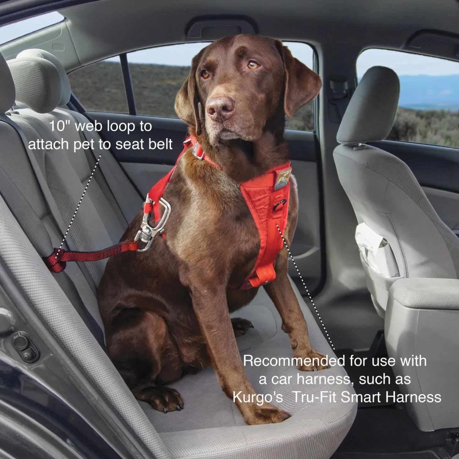 Heavy Duty Swivel Seatbelt Tether for Dogs
