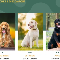 Hemp Aches & Discomfort Soft Dog Chews