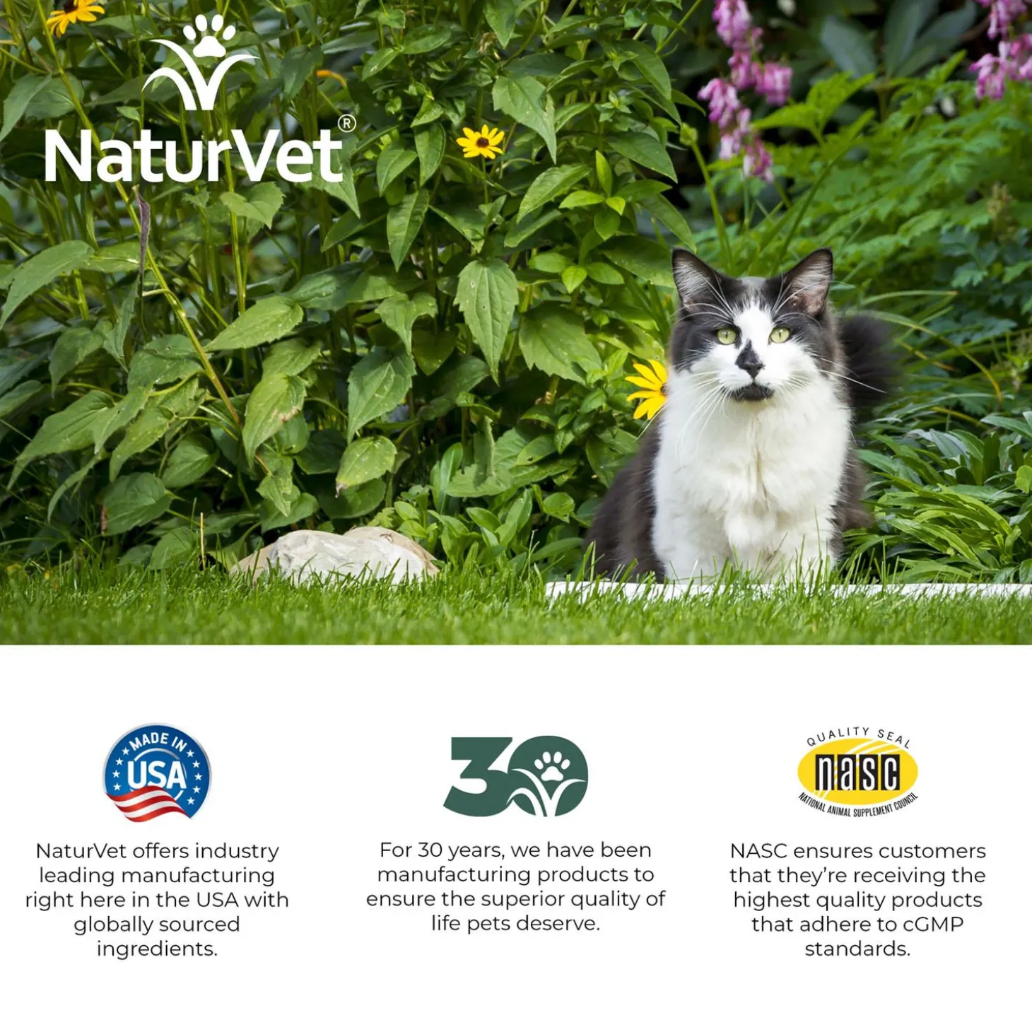 Hemp Allergy Aid Soft Chews for Cats