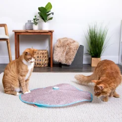 Hidden Hijinks Concealed Motion Cat Toy