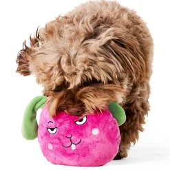 Hide n Seek Raddish Dog Toy