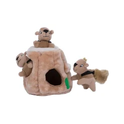 Hide-A-Squirrel Dog Toy