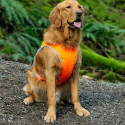 High Visibility Safety Vest Orange