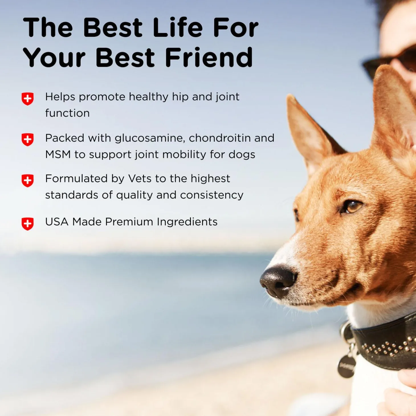 Hip & Joint Advanced Strength Liver Flavoured Dog Supplements