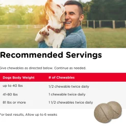 Hip & Joint Advanced Strength Liver Flavoured Dog Supplements