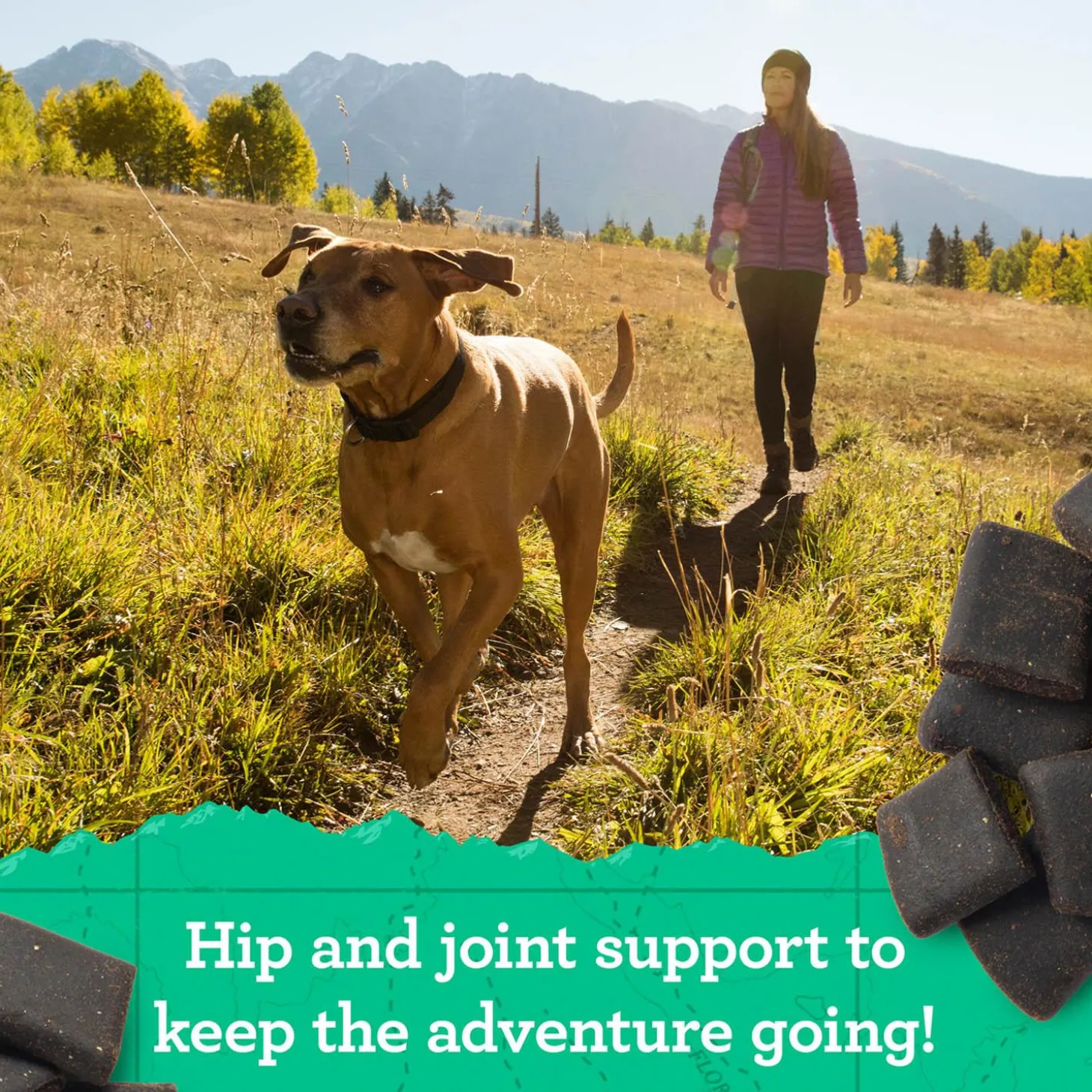 Hip & Joint Chicken Dog Treats