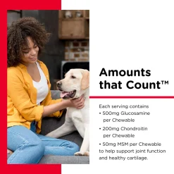 Hip & Joint Extra Strength Liver Flavoured Dog Supplements