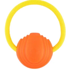 Hive Zoomer Launcher & Looper Ball Dog Toy