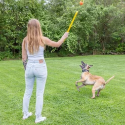 Hive Zoomer Launcher & Looper Ball Dog Toy