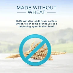 Homestyle Recipe Turkey Meatloaf Dinner with Garden Vegetables Adult Dog Food