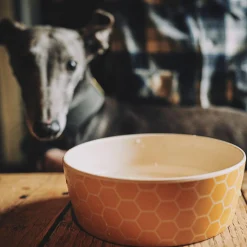 Honeycomb Printed Feeding & Water Bowl