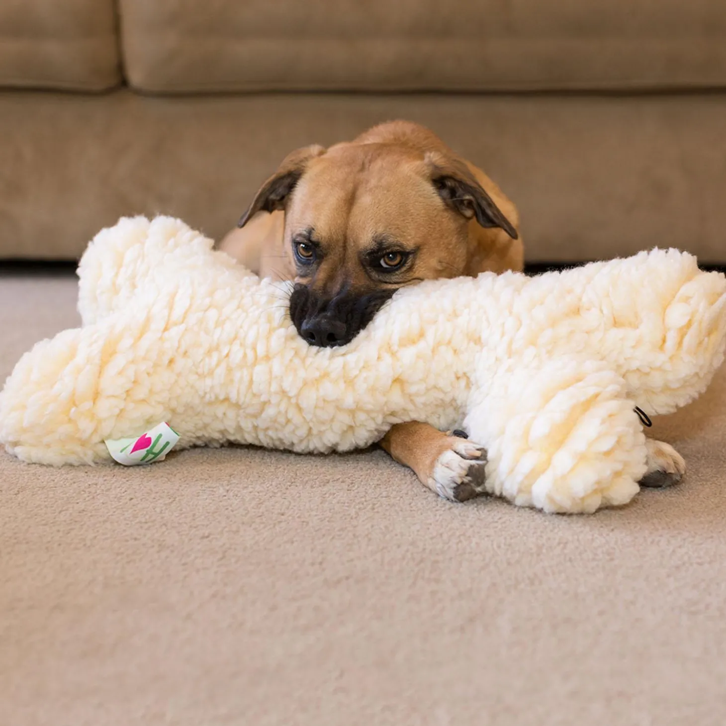 HuggleFleece Plush Bone Dog Toy