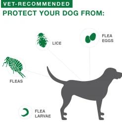 II Topical Extra Large Dog Flea Treatment