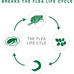 II Topical Large Cat Flea Treatment