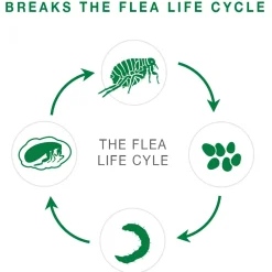 II Topical Small Dog Flea Treatment