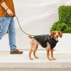2-in-1 Harness Black Puffer Vest