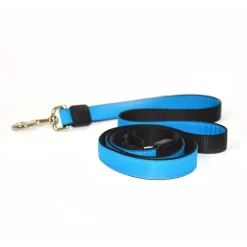 1in Nylon Blue Dog Leash