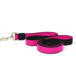 1in Nylon Pink Dog Leash