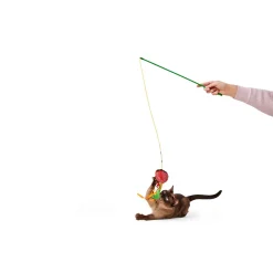 5-in-1 Teaser Wand Set Cat Toy